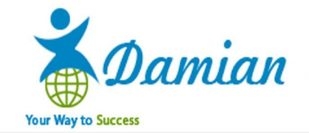 Damian Consulting Inc
